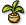 seed