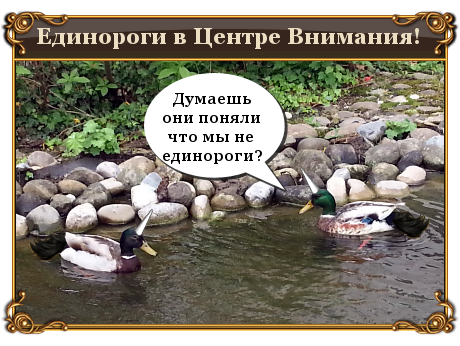Единоутки? Уткороги? Как их называть? Единоутки? Уткороги? Как их называть?